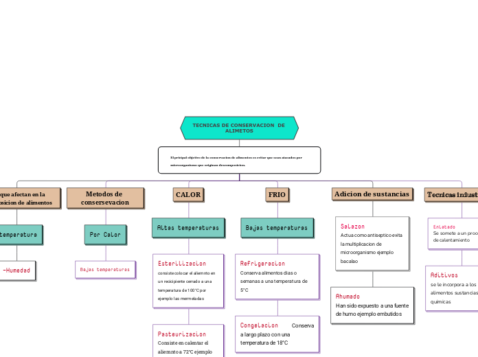 TECNICAS DE CONSERVACION  DE ALIMETOS