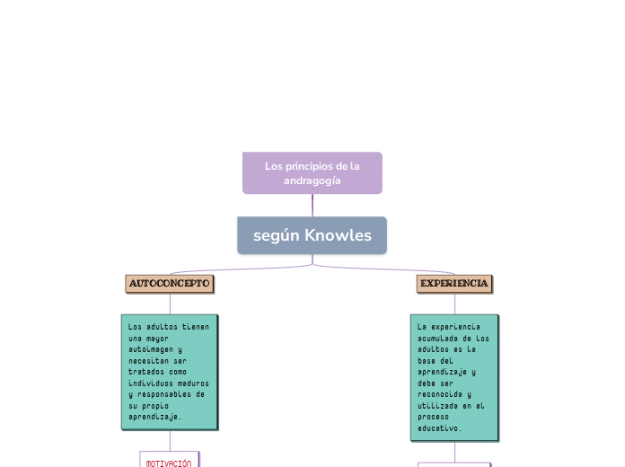  Los principios de la andragogía