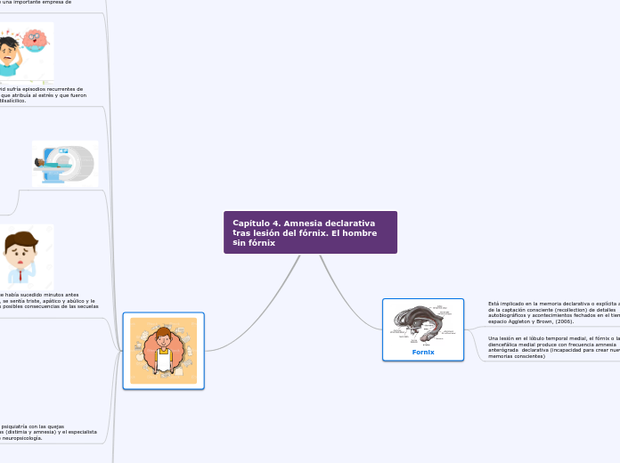 Capítulo 4. Amnesia declarativa tras lesión del fórnix. El hombre sin fórnix