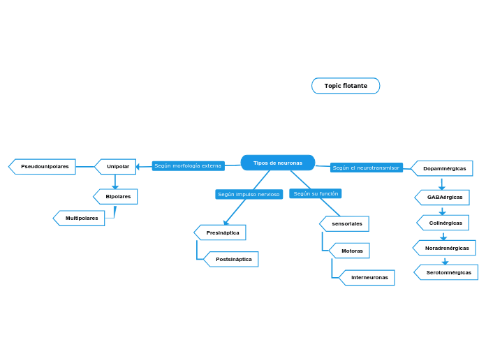Tipos de neuronas