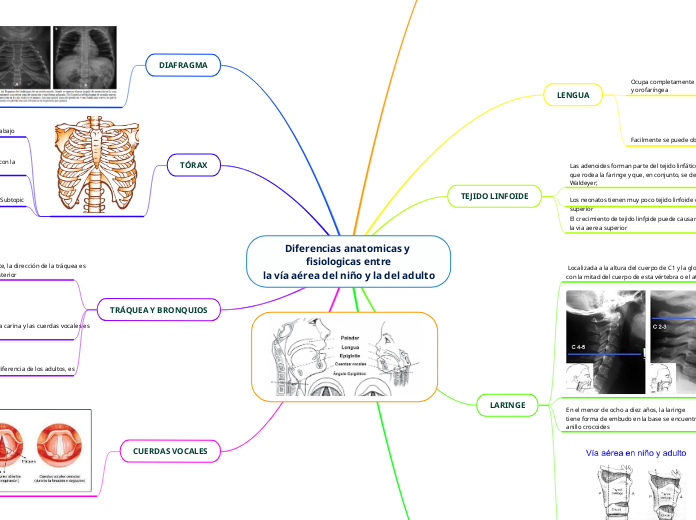 Diferencias anatomicas y fisiologicas entre
la vía aérea del niño y la del adulto