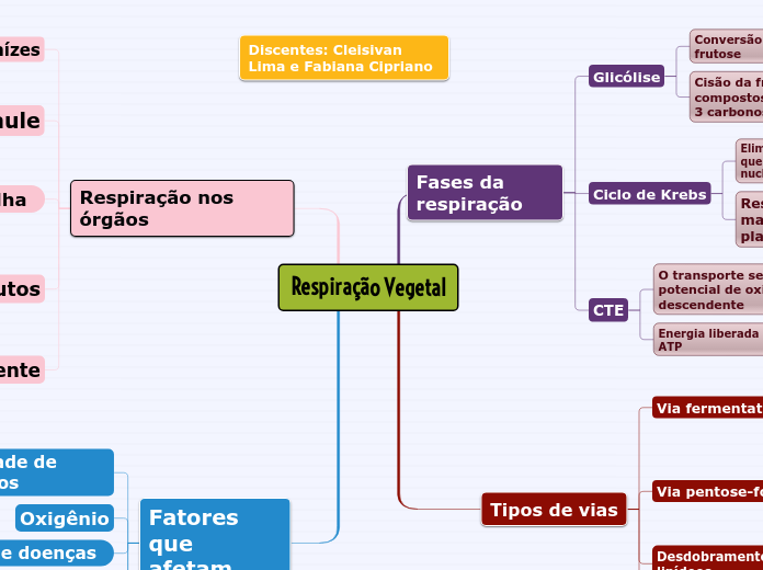 Respiração Vegetal