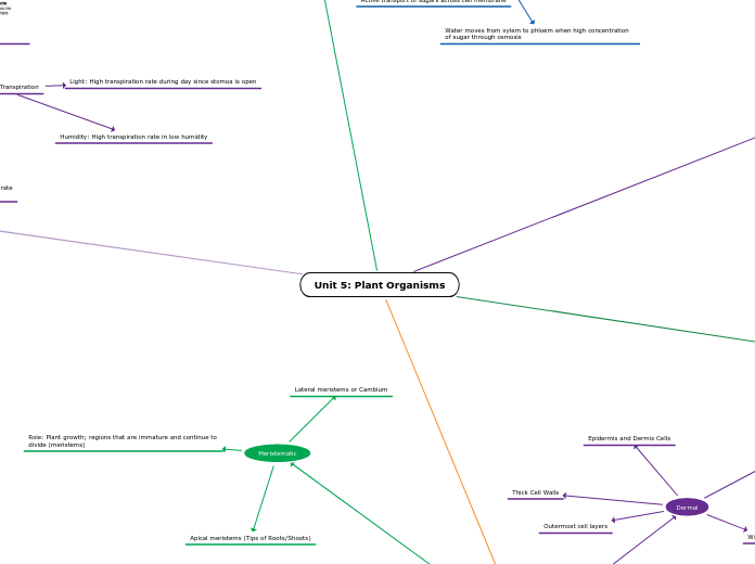 Unit 5: Plant Organisms