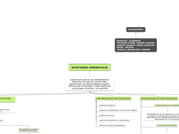 AUDITORÍAS AMBIENTALES