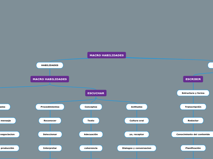 MACRO HABILIDADES