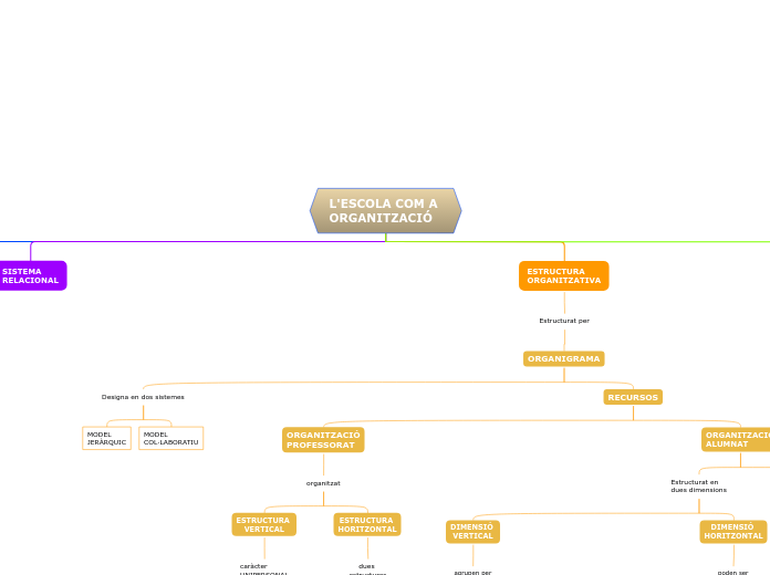 L'ESCOLA COM A 
ORGANITZACIÓ
