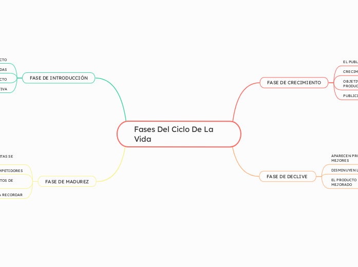 Fases Del Ciclo De La Vida