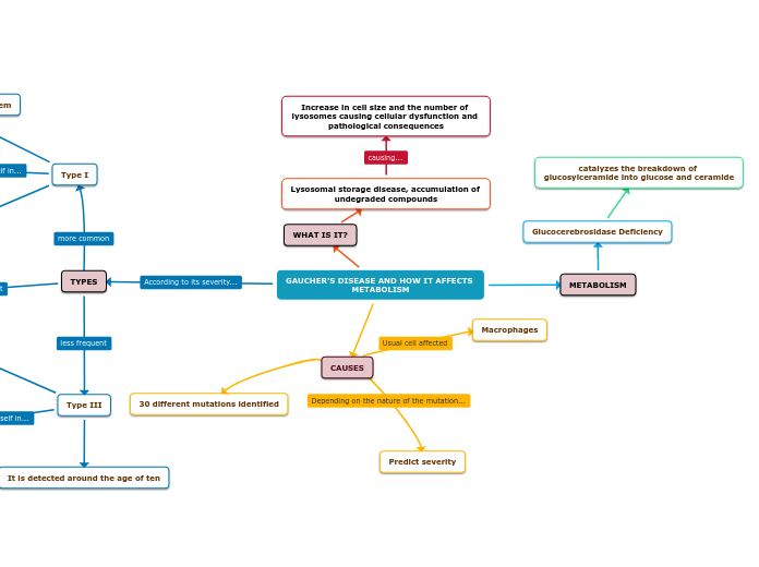 GAUCHER'S DISEASE AND HOW IT AFFECTS METABOLISM