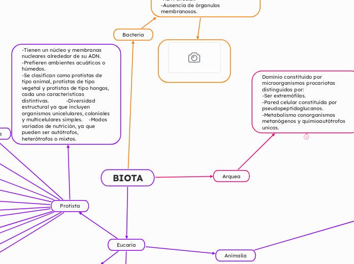 5IM2_3_Taxonomía