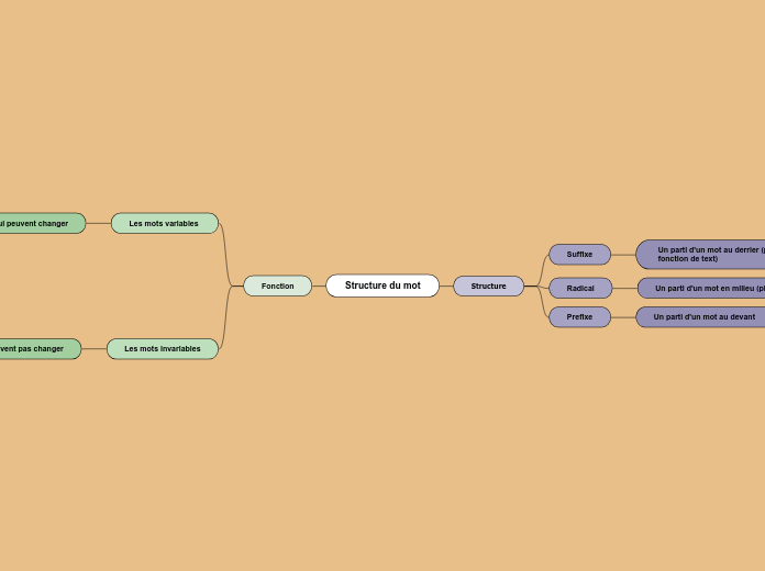 Structure du mot