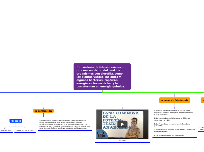 fotosintesis: la fotosintesis es un proceso en virtud del cual los organismos con clorofila, como las plantas verdes, las algas y algunas bacterias, capturan energia en forma de luz y la transforman en energia quimica.