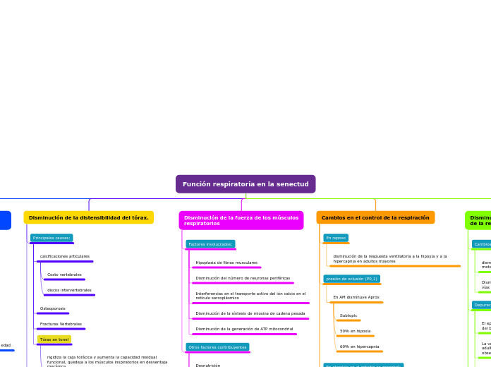 Organigrama arbol