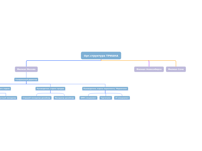 Орг.структура ТРИАНА