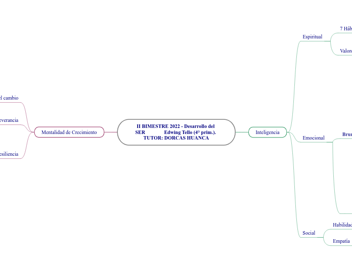  Mapa mental - Edwing 2