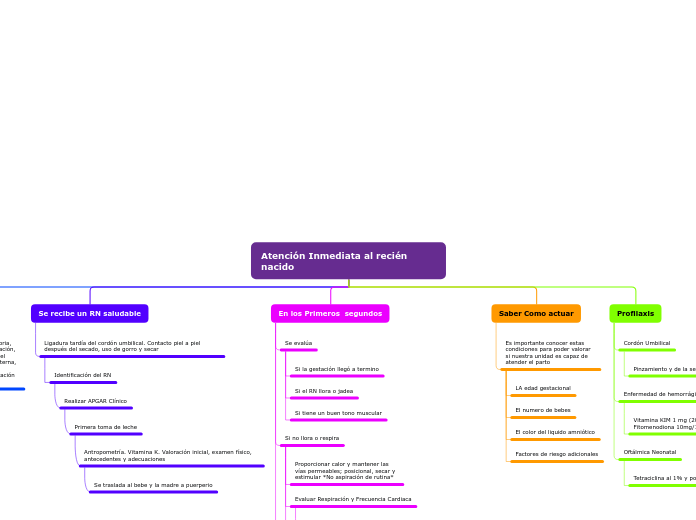 Organigrama arbol