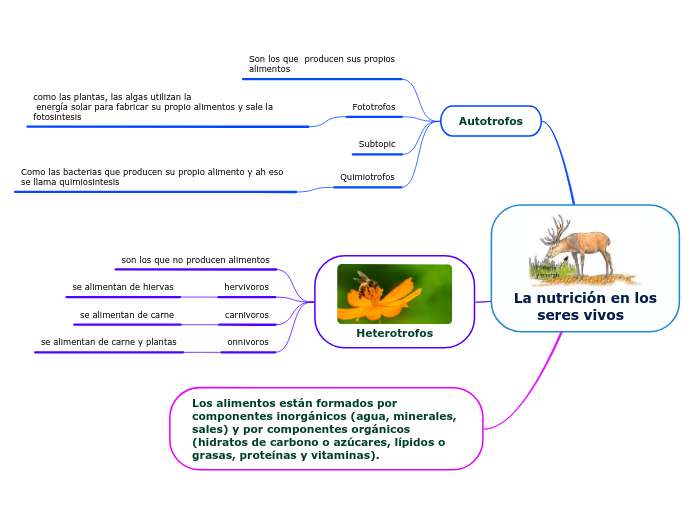 La nutrición en los
     seres vivos