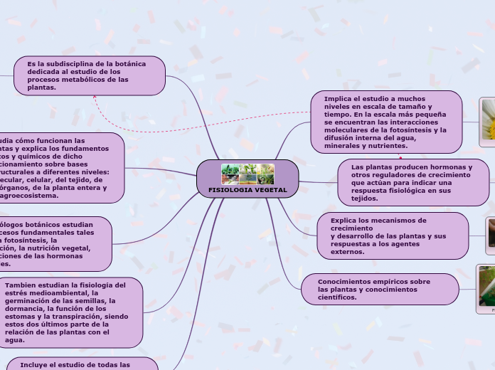 FISIOLOGIA VEGETAL