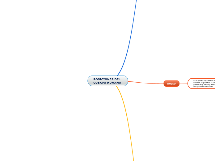 POSICIONES DEL CUERPO HUMANO