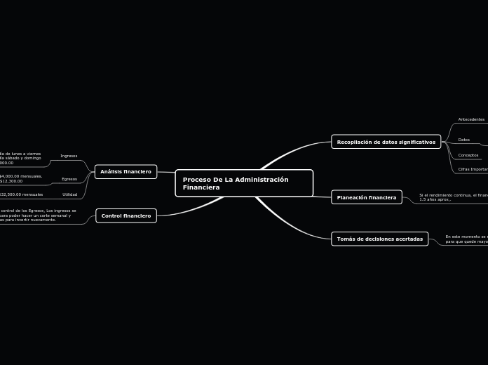 Proceso De La Administración Financiera