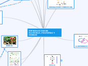 REPRODUCCION EN BACTERIAS, PROTISTAS Y HONGOS