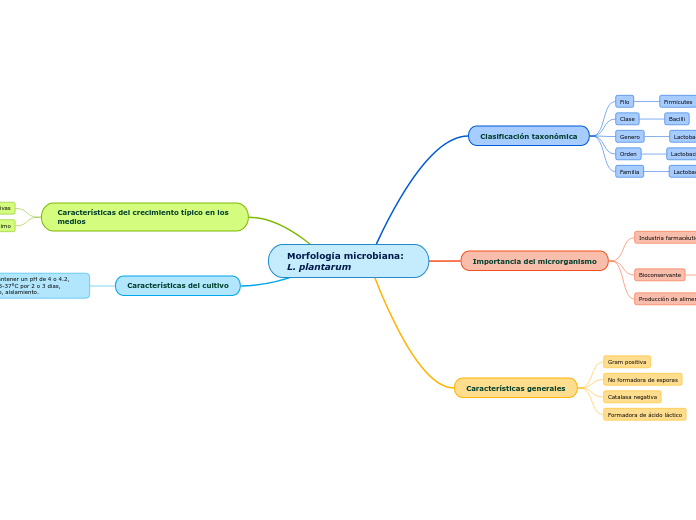 Morfología microbiana: L. plantarum