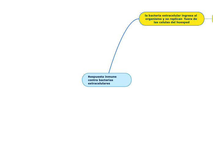 Respuesta inmune contra bacterias extracelulares