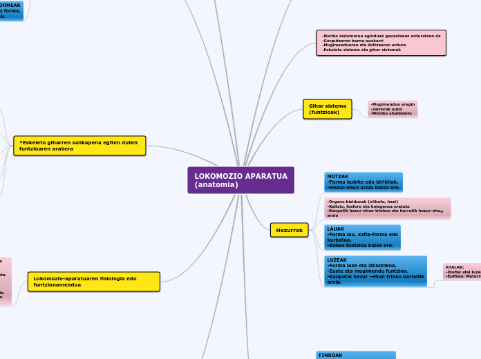 LOKOMOZIO APARATUA
(anatomia)