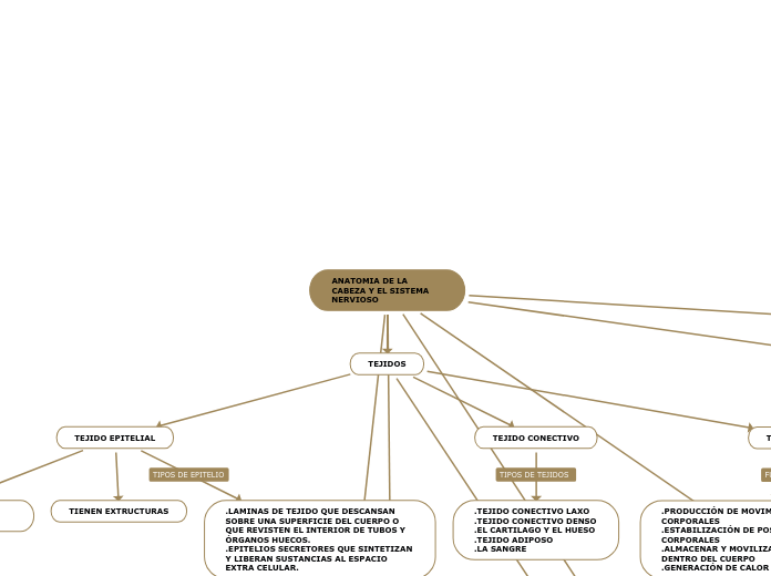 ANATOMIA DE LA CABEZA Y EL SISTEMA NERVIOSO