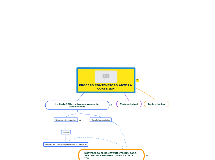 PROCESO ANTE LA CORTE IDH