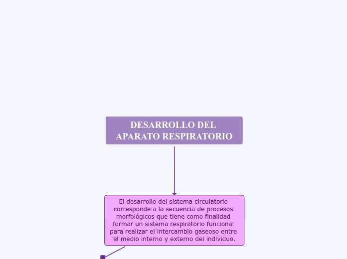 DESARROLLO DEL APARATO RESPIRATORIO