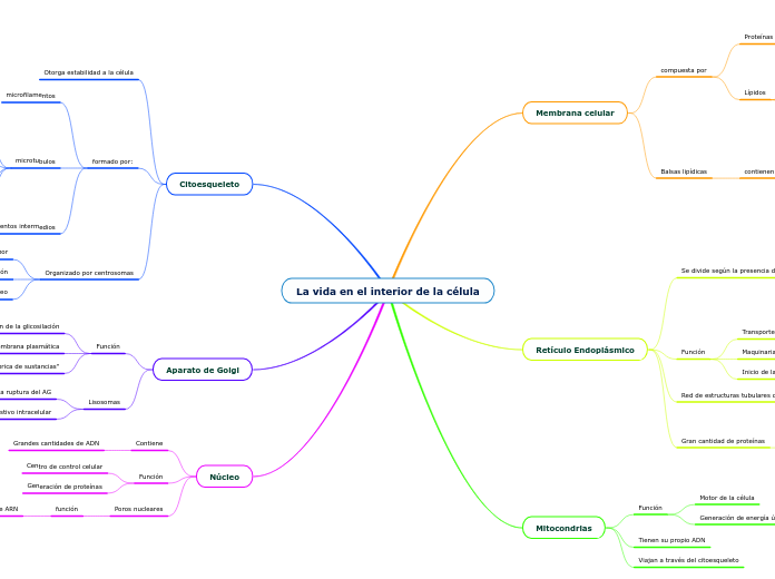 La vida en el interior de la célula