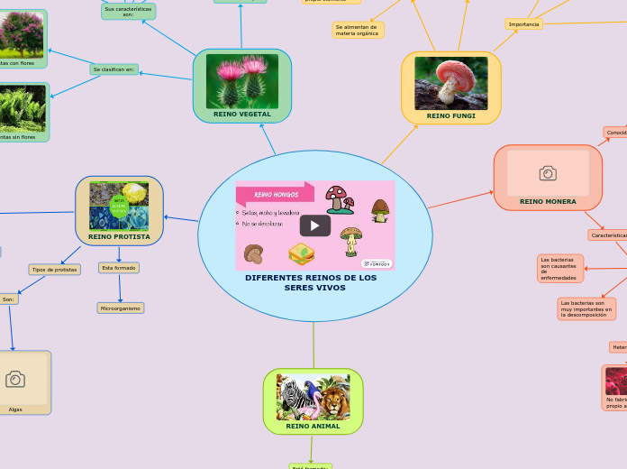 DIFERENTES REINOS DE LOS   SERES VIVOS