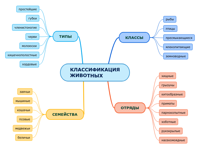 КЛАССИФИКАЦИЯ ЖИВОТНЫХ