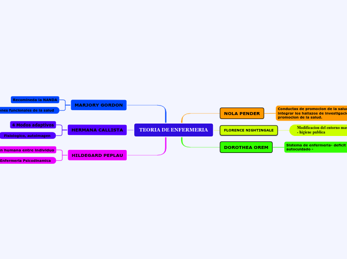 TEORIA DE ENFERMERIA