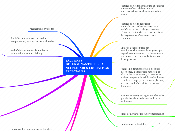 FACTORES DETERMINANTES DE LAS NECESIDADES EDUCATIVAS ESPECIALES.