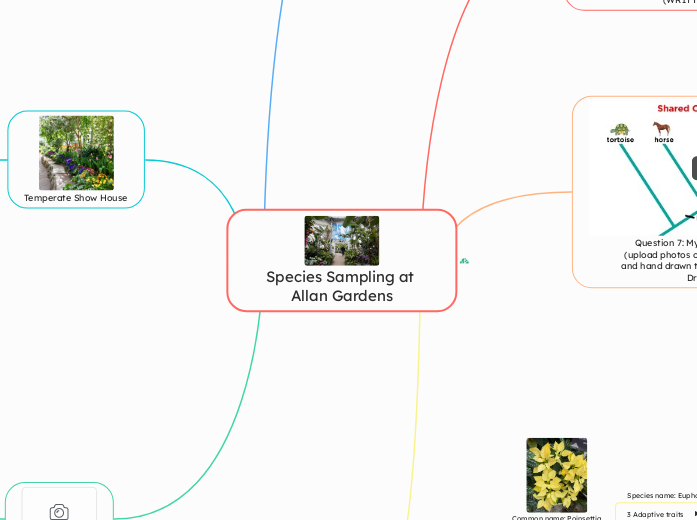 Species Sampling at Allan Gardens