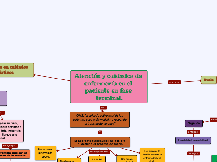 Atención y cuidados de enfermería en el paciente en fase terminal.