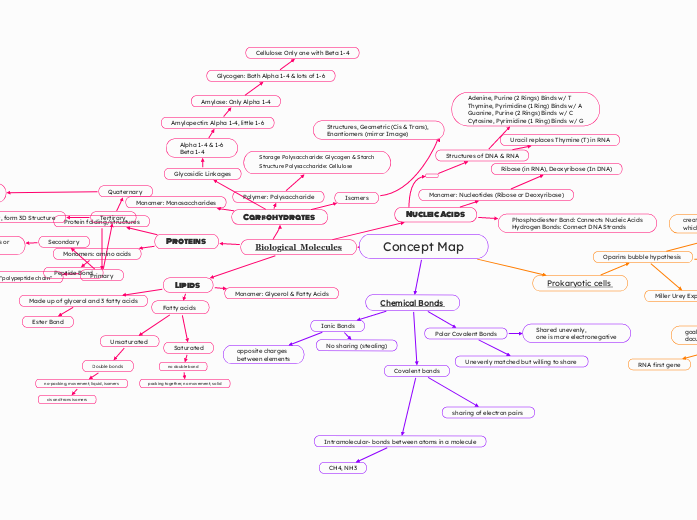 Concept Map