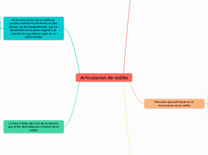 Articulacion de rodilla