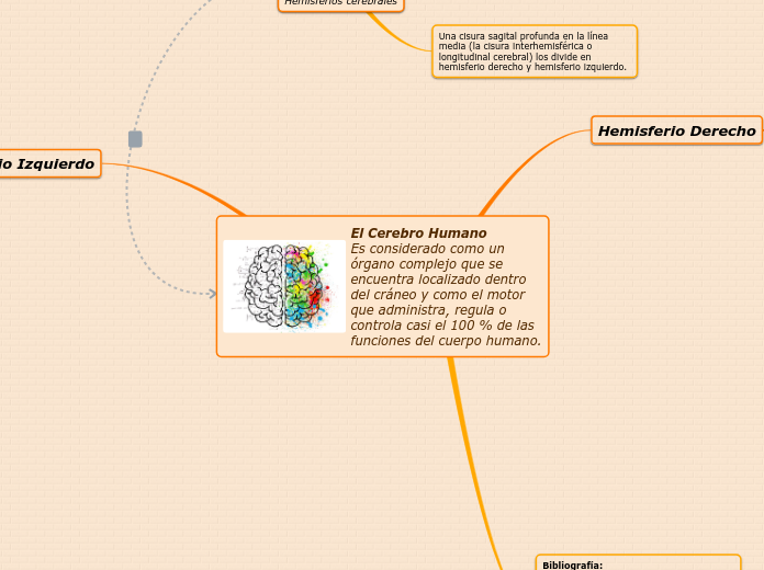 El Cerebro Humano            Es considerado como un órgano complejo que se encuentra localizado dentro del cráneo y como el motor que administra, regula o controla casi el 100 % de las funciones del cuerpo humano.