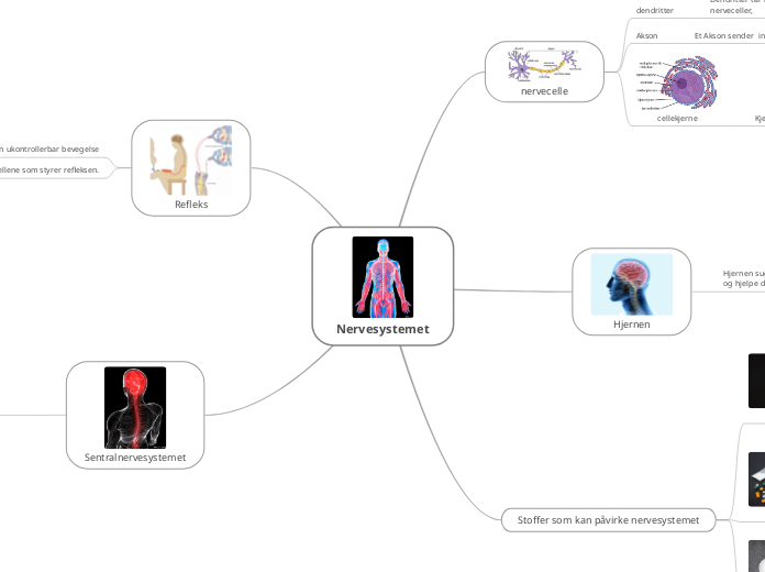 Nervesystem tankekart 