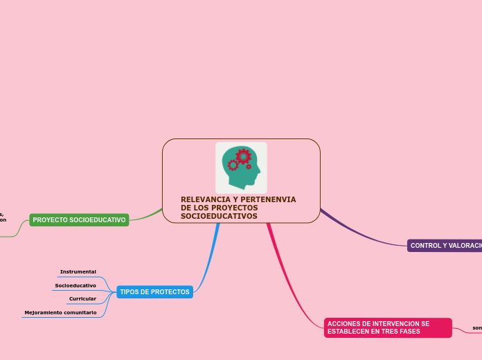 RELEVANCIA Y PERTENENVIA DE LOS PROYECTOS SOCIOEDUCATIVOS