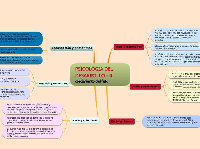 PSICOLOGIA DEL DESARROLLO - II                    crecimiento del feto