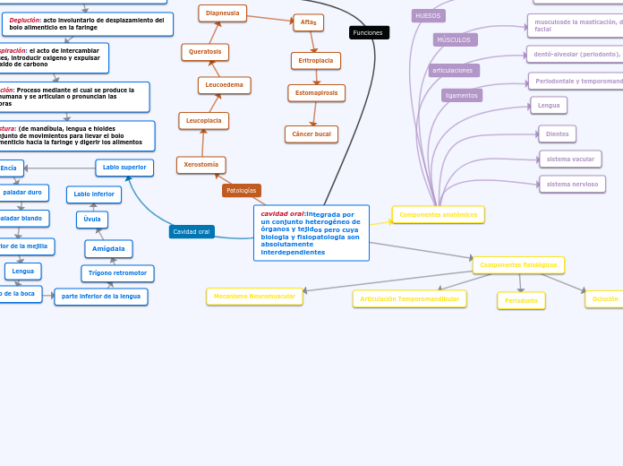 cavidad oral:integrada por un conjunto heterogéneo de órganos y tejidos pero cuya biologia y fisiopatologia son absolutamente interdependientes