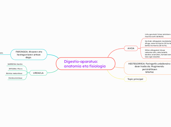 Digestio-aparatua: anatomia eta fisiologia