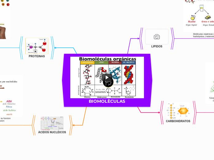 BIOMOLÈCULAS