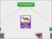 Vertebrati