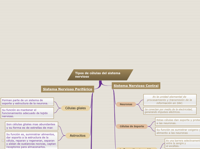 Tipos de células del sistema nervioso