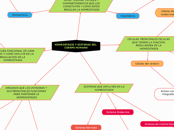 HOMEOSTASIS Y SISTEMAS DEL CUERPO HUMANO