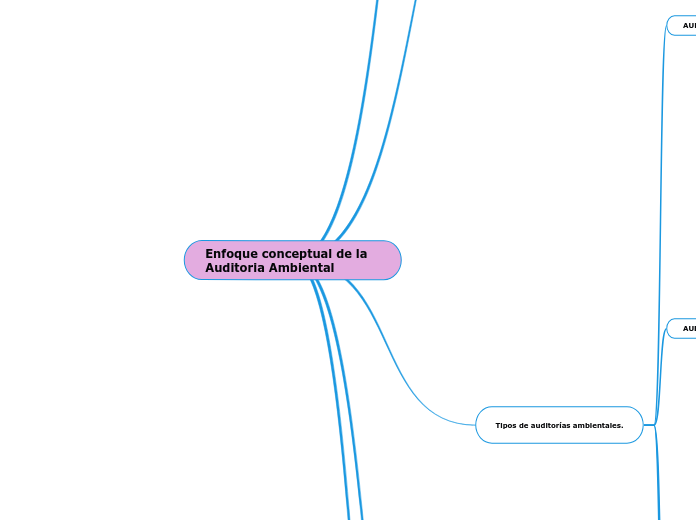 Enfoque conceptual de la Auditoria Ambiental